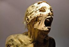 Photo of Невероятные находки археологов