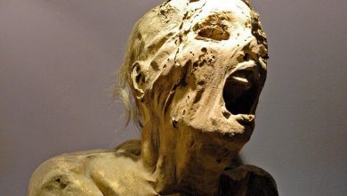 Photo of Невероятные находки археологов