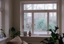 Photo of Лучшие идеи для декорирования окон в интерьере