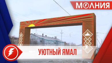 Photo of Декорирование балкона: креативные идеи для уютного уголка