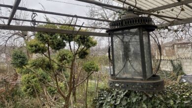 Photo of Что важно знать при выборе освещения для дома: советы эксперта