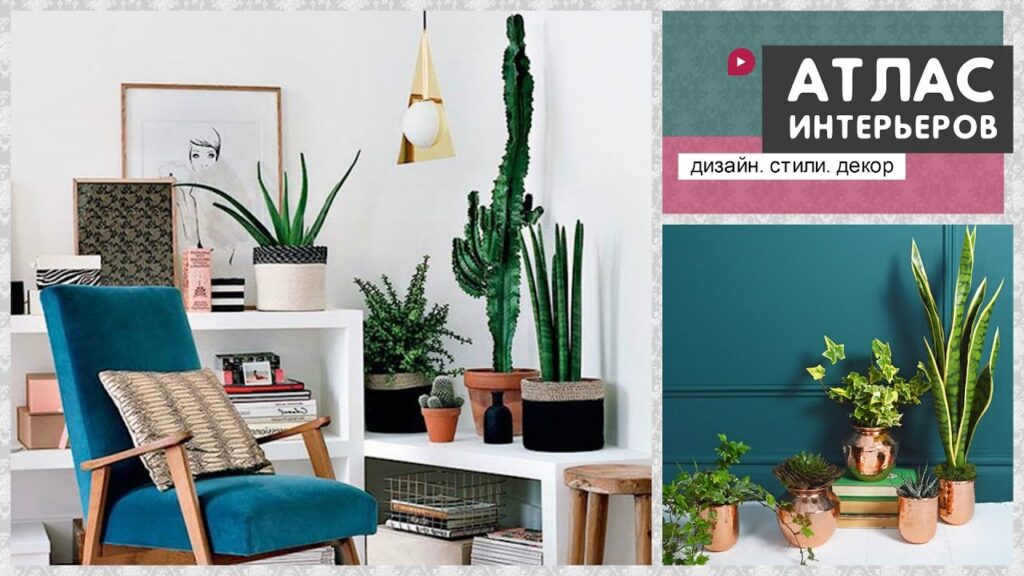 Фото 28 — Как использовать растения в интерьере: идеи для создания зеленых уголков