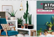 Photo of Как использовать растения в интерьере: идеи для создания зеленых уголков